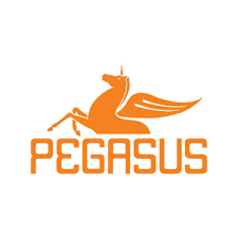 Pegasus yayınevi logosu